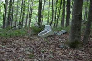 It's amazing what you can find while hiking around a lake.