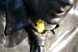 11/14/2014: Hoagy agrees that flowers and ties go together nicely.