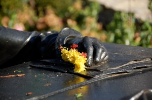 11/14/2012: The last of the pics taken the last time I visited Hoagy.